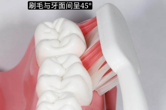 巴斯刷牙法