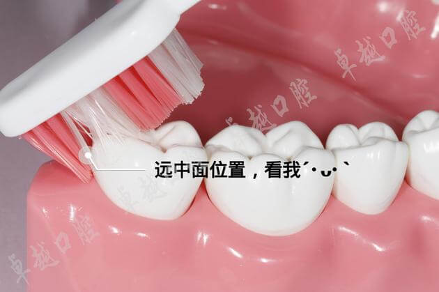 巴斯刷牙法