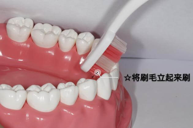 巴斯刷牙法