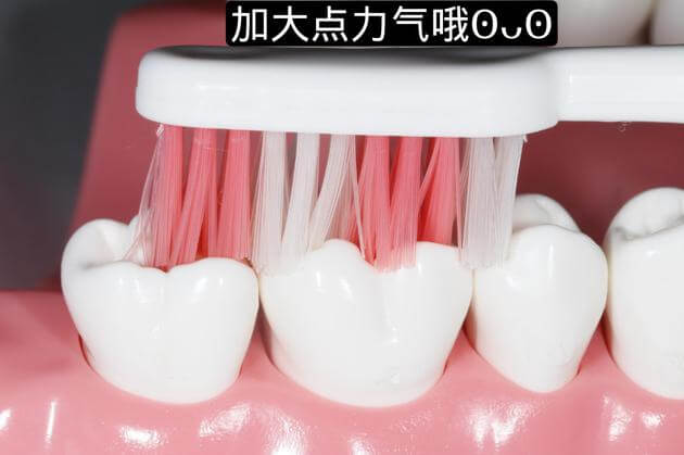 巴斯刷牙法