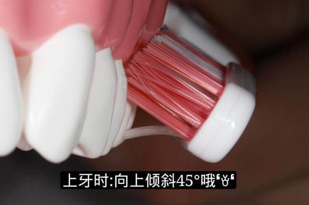巴斯刷牙法