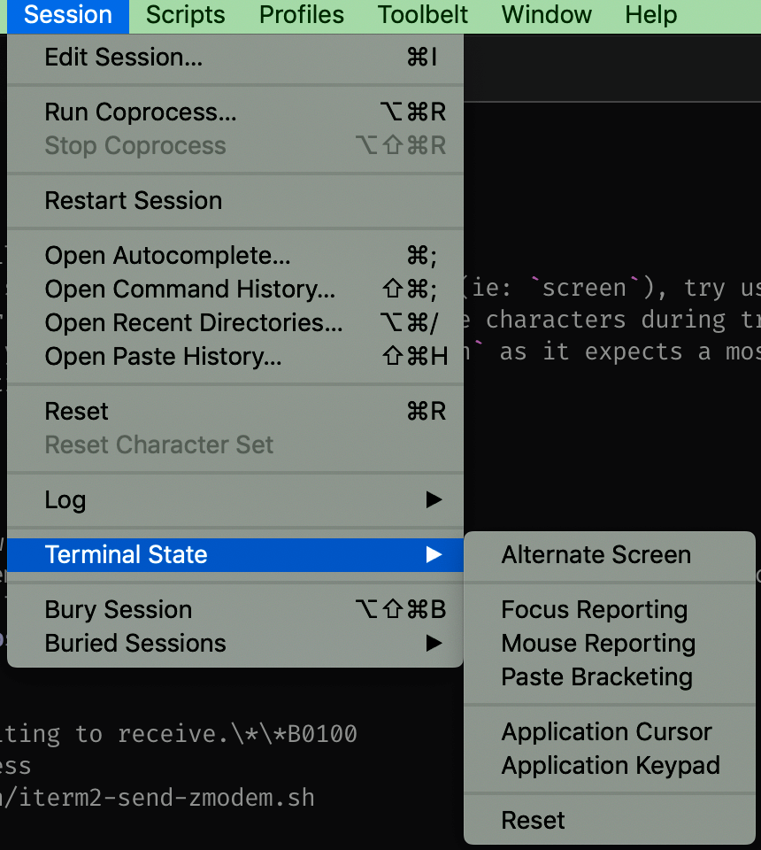 paste bracketing 解决mac 终端复制带00~